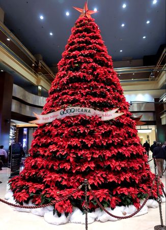 Poinsettia Christmas tree at Tropicana Atlantic City