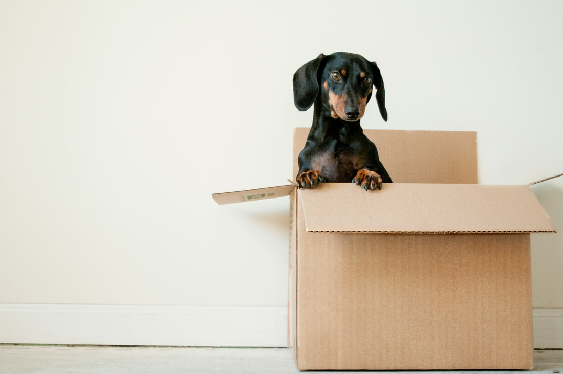 3 Steps To Take When Moving Into A New Home