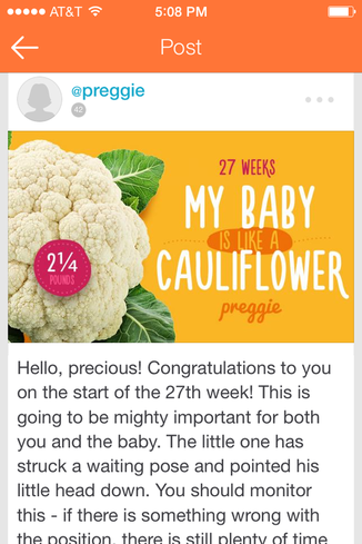 US-Japan Fam reviews Preggie App for new and expecting moms.