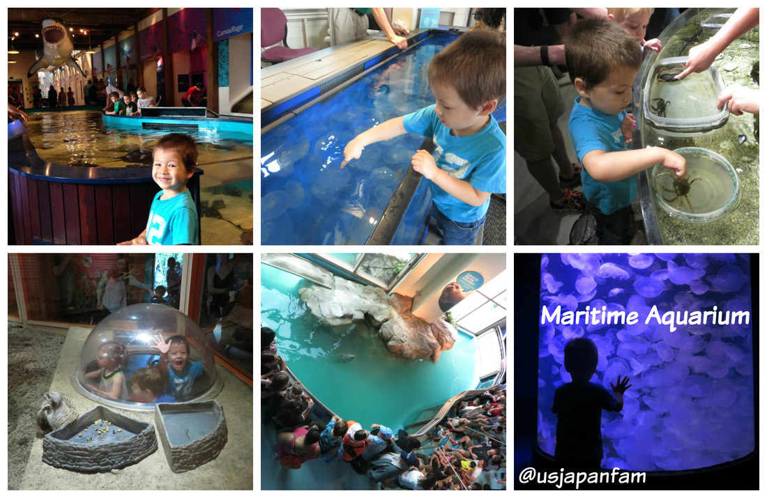 US Japan Fam loves Maritime Aquarium at Norwalk