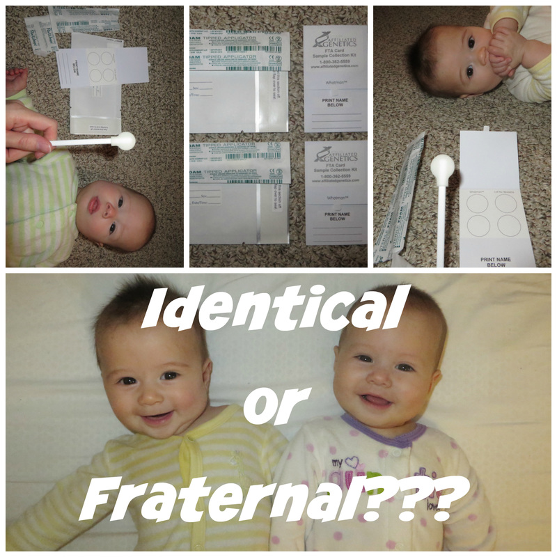 US Japan Fam takes the zygosity test to determine if their twins are identical or fraternal.