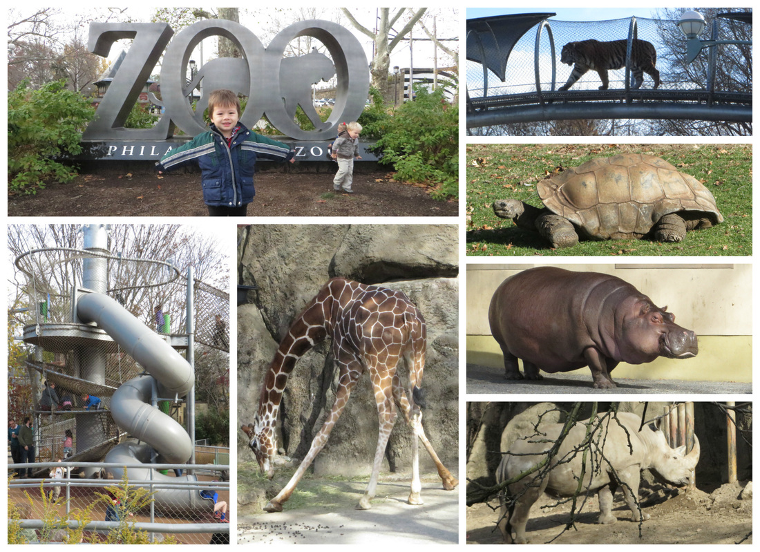 US-Japan Fam loves Philadelphia Zoo!