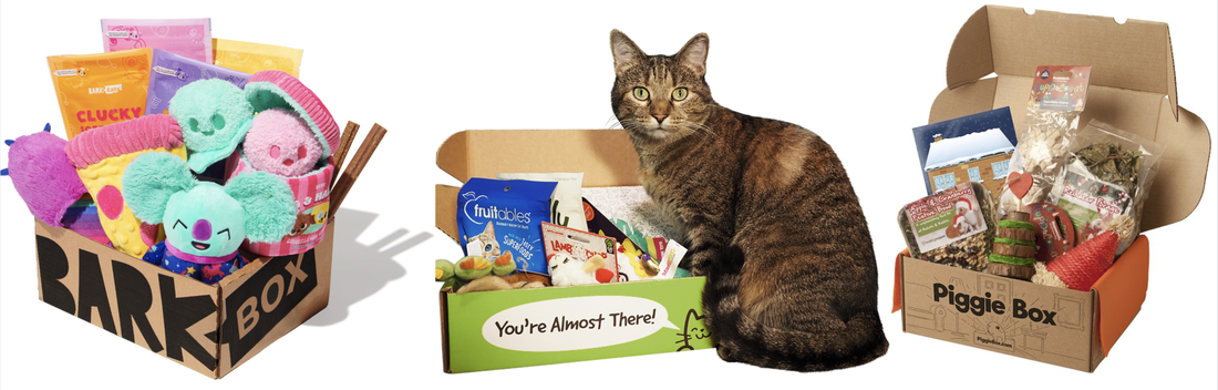 Subscription Boxes for Pets