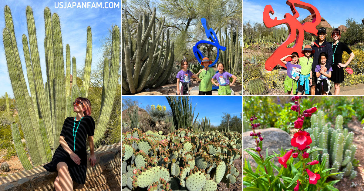 US Japan Fam Arizona Family Vacation Guide - Desert Botanical Garden in Phoenix
