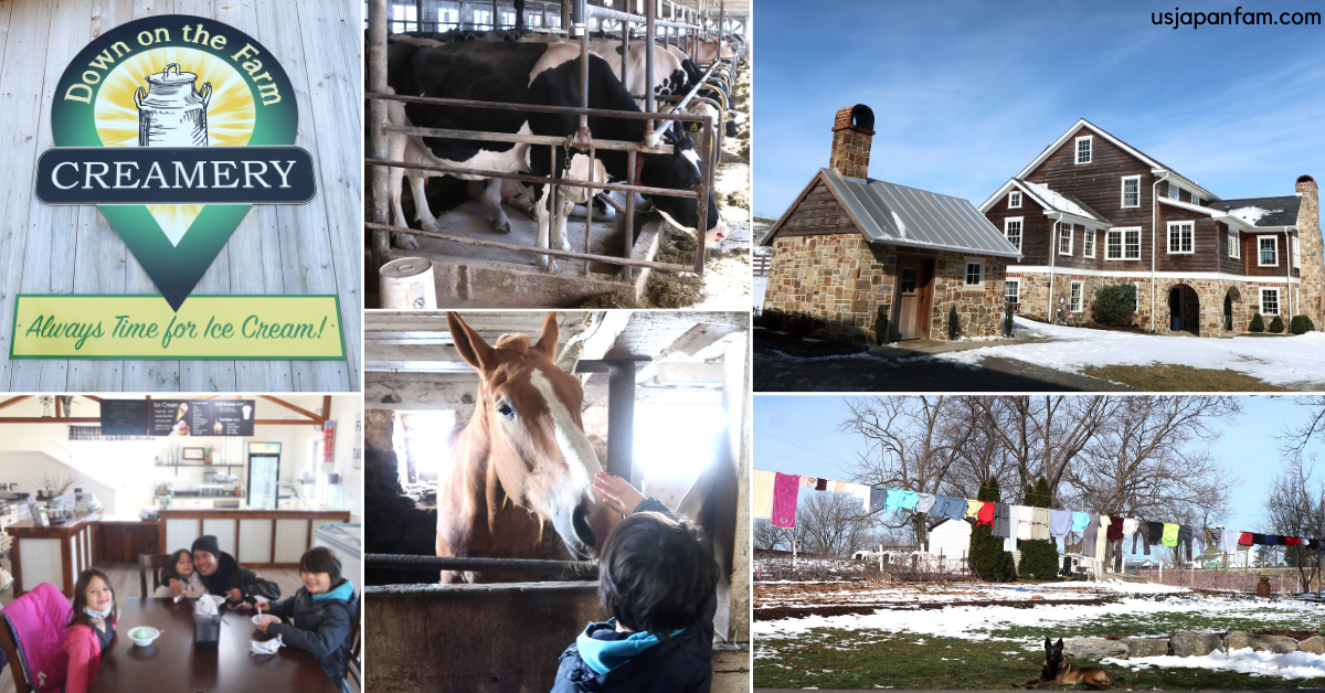 US Japan Fam's 2022 Family Vacation Guide to Lancaster - LoKal Experiences Amish Tour