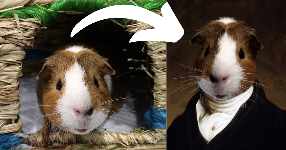us japan fam's best gifts for pet lovers - guinea pig before and after pet portrait