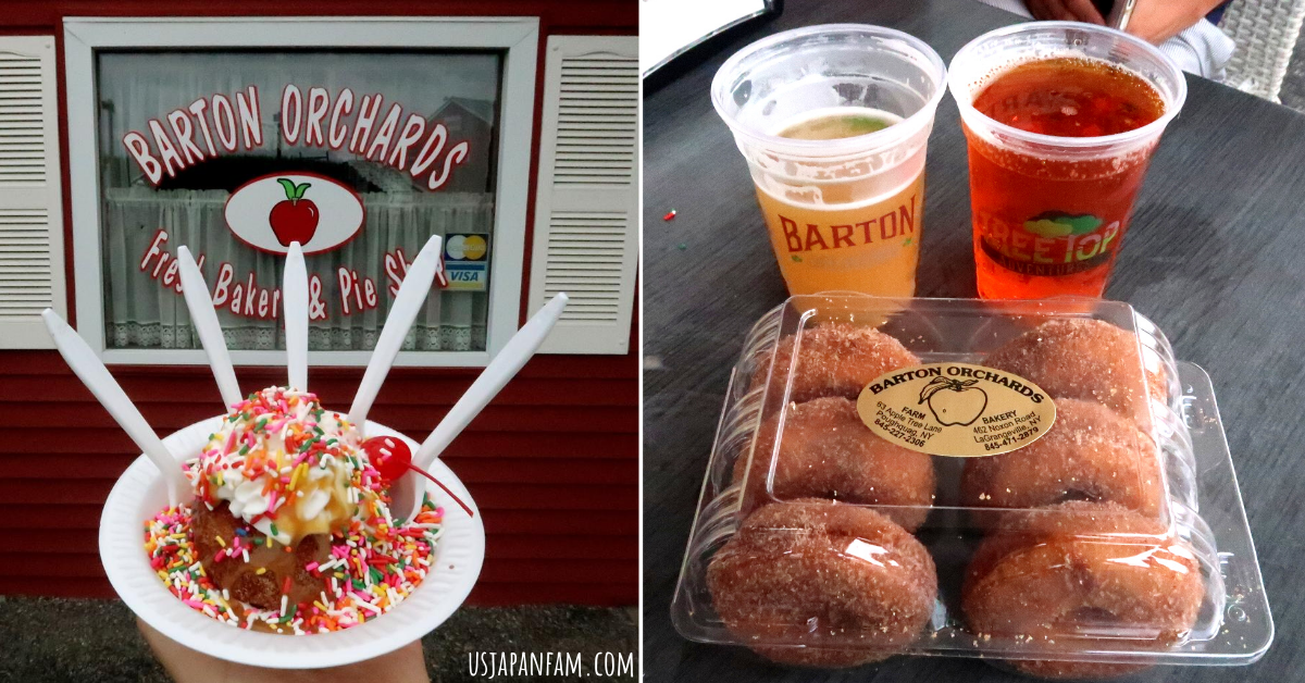 US Japan Fam Reviews: Apple Cider Donuts & Yummy Food at Barton Orchards in Hudson Valley