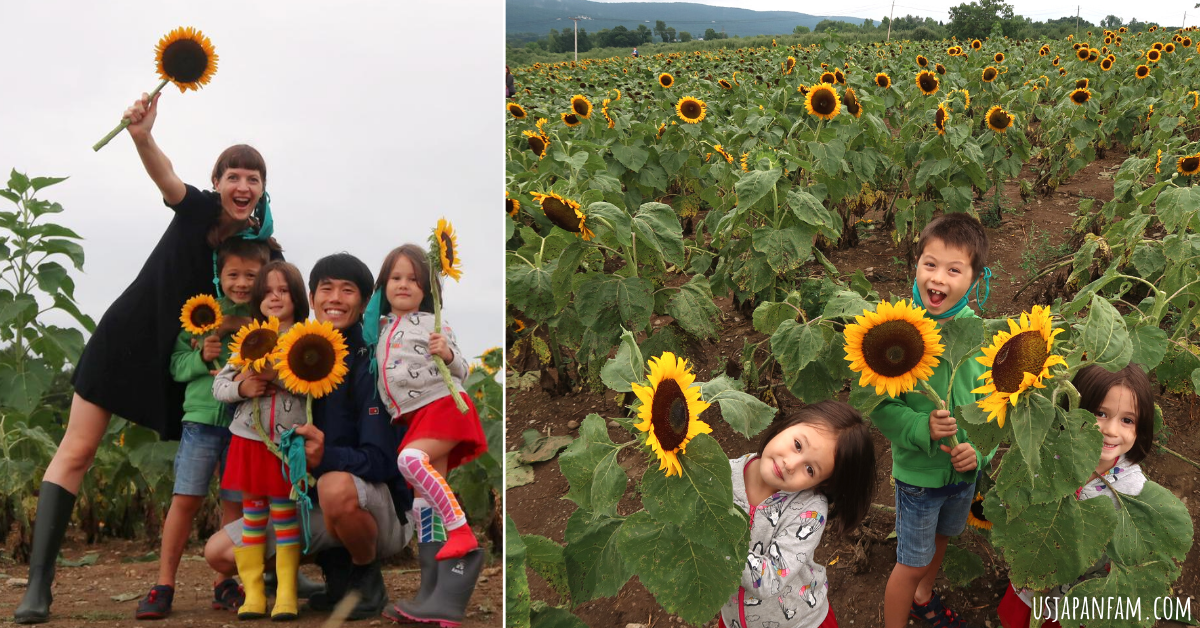 US Japan Fam Reviews: 2nd Annual Sunflower Festival at Barton Orchards in Hudson Valley