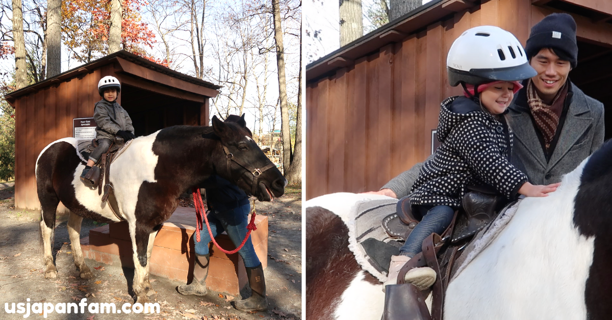 US Japan Fam reviews Rocking Horse Ranch with free horseback riding & pony rides!