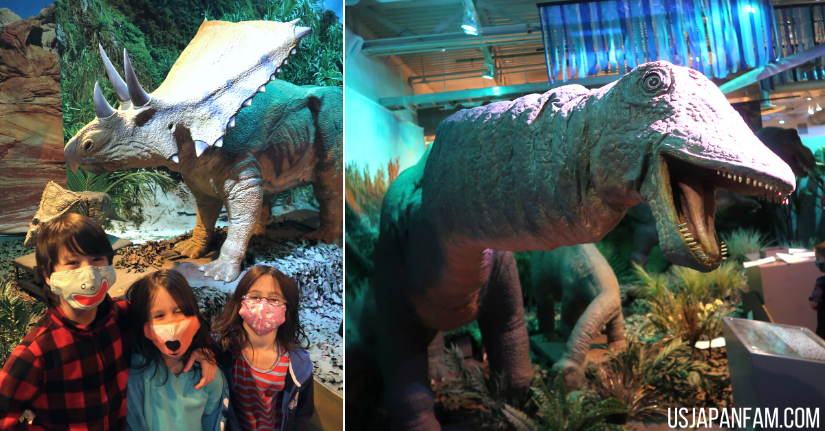 US Japan Fam reviews Long Island Children's Museum - Age of Dinosaurs temporary exhibit
