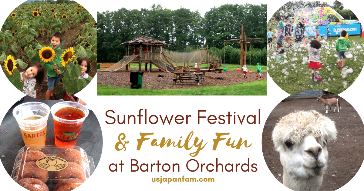 US Japan Fam reviews Barton Orchards Sunflower Festival & Family Fun Agrientertainment in New York's Hudson Valley 