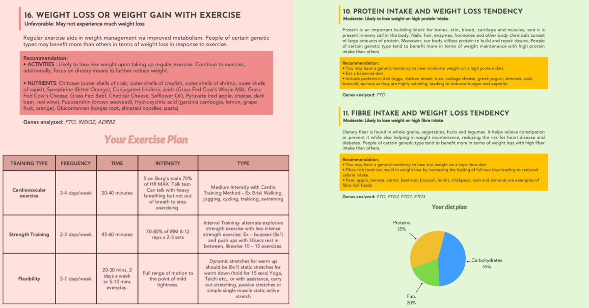 US Japan Fam - Xcode Life Review - Weight Loss and Exercise Recommendations